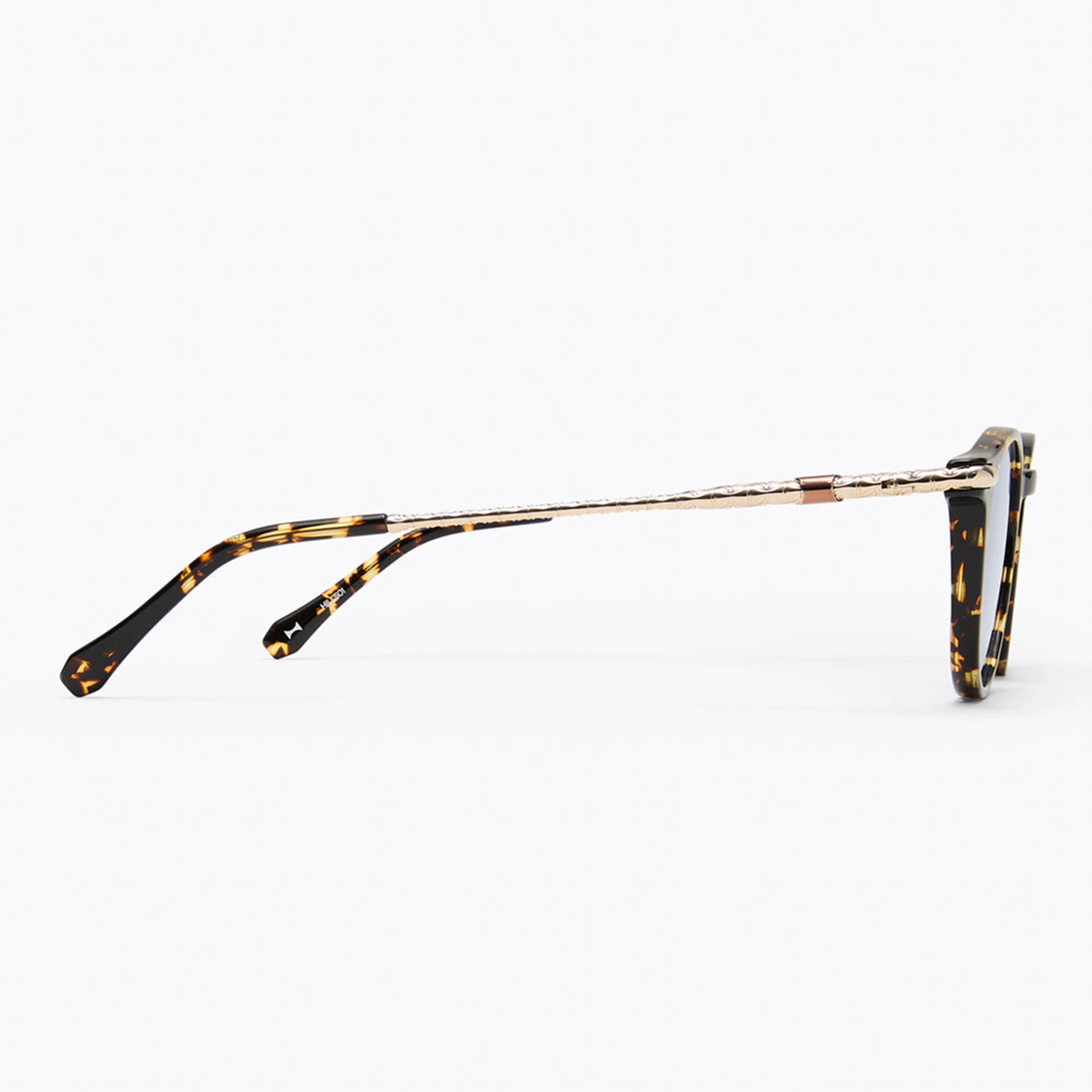 H1 Roland Tortoise - Image 3
