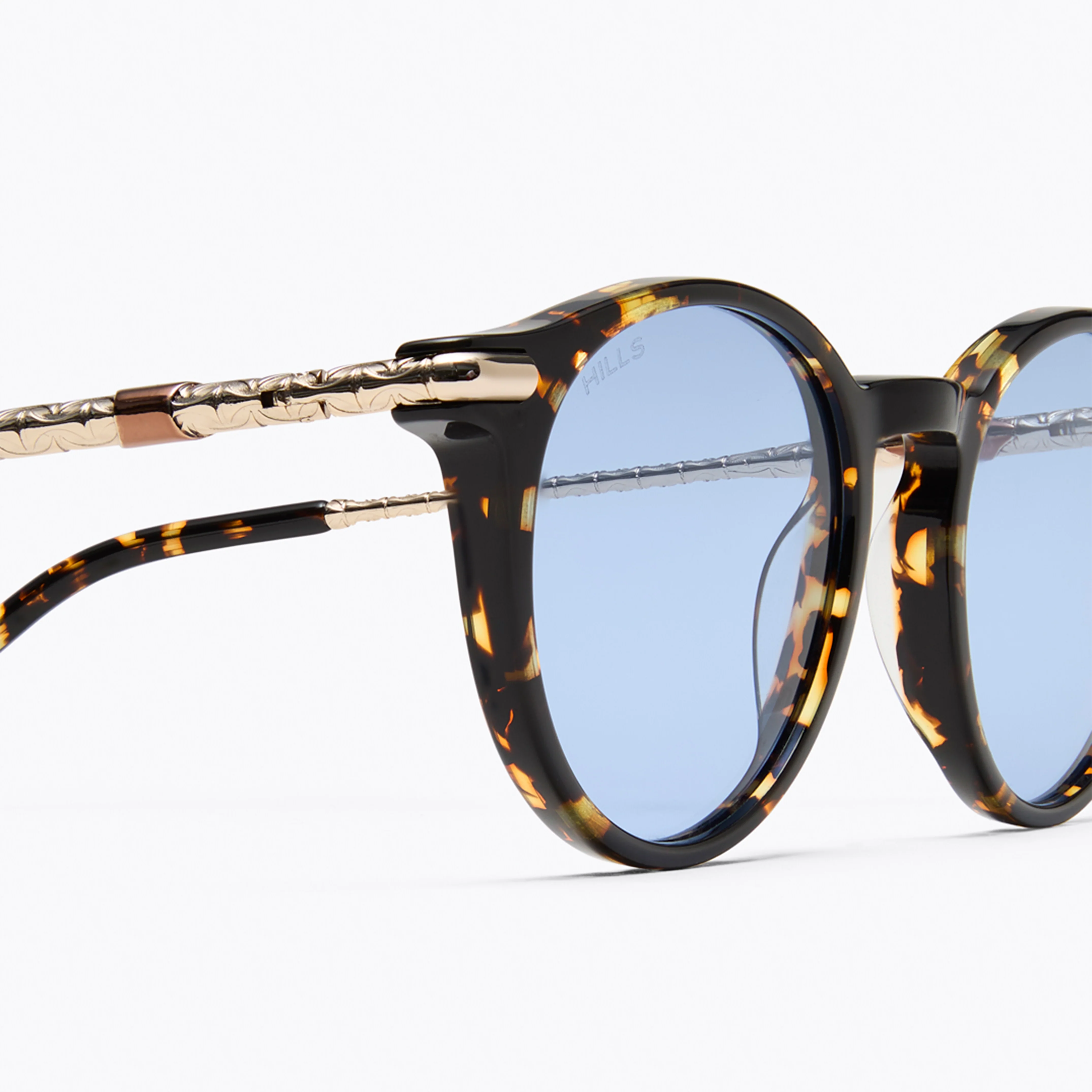 H1 Roland Tortoise/Blue - Image 5